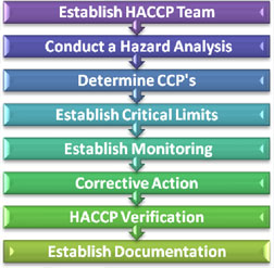 haccp
